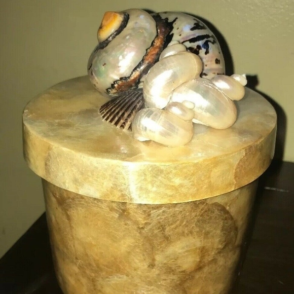 Capiz Shell Cylindar Box w/ Top w/ Large Shells - Picture 3 of 7